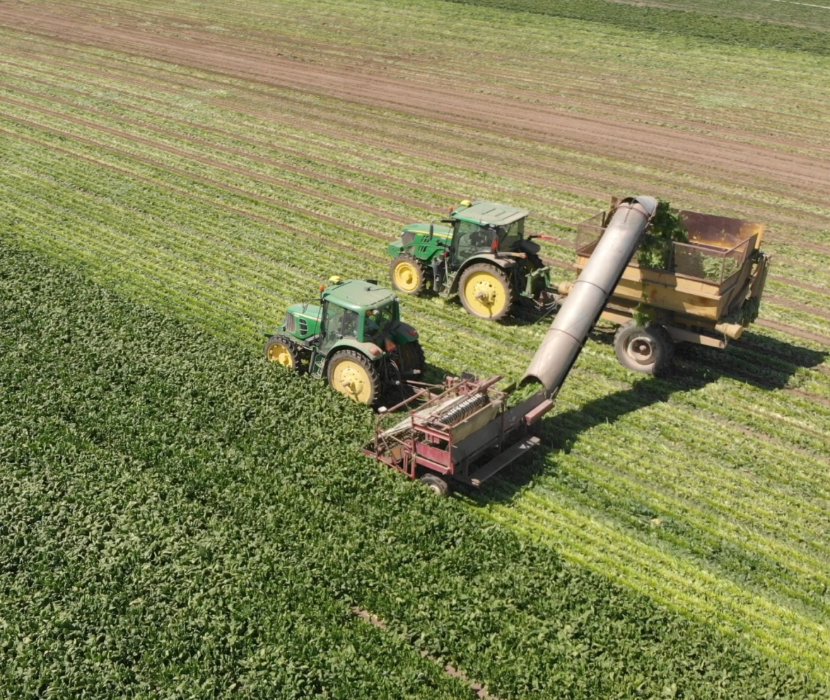 Nitrogen Efficiency Program Archives - Advancing Eco Agriculture