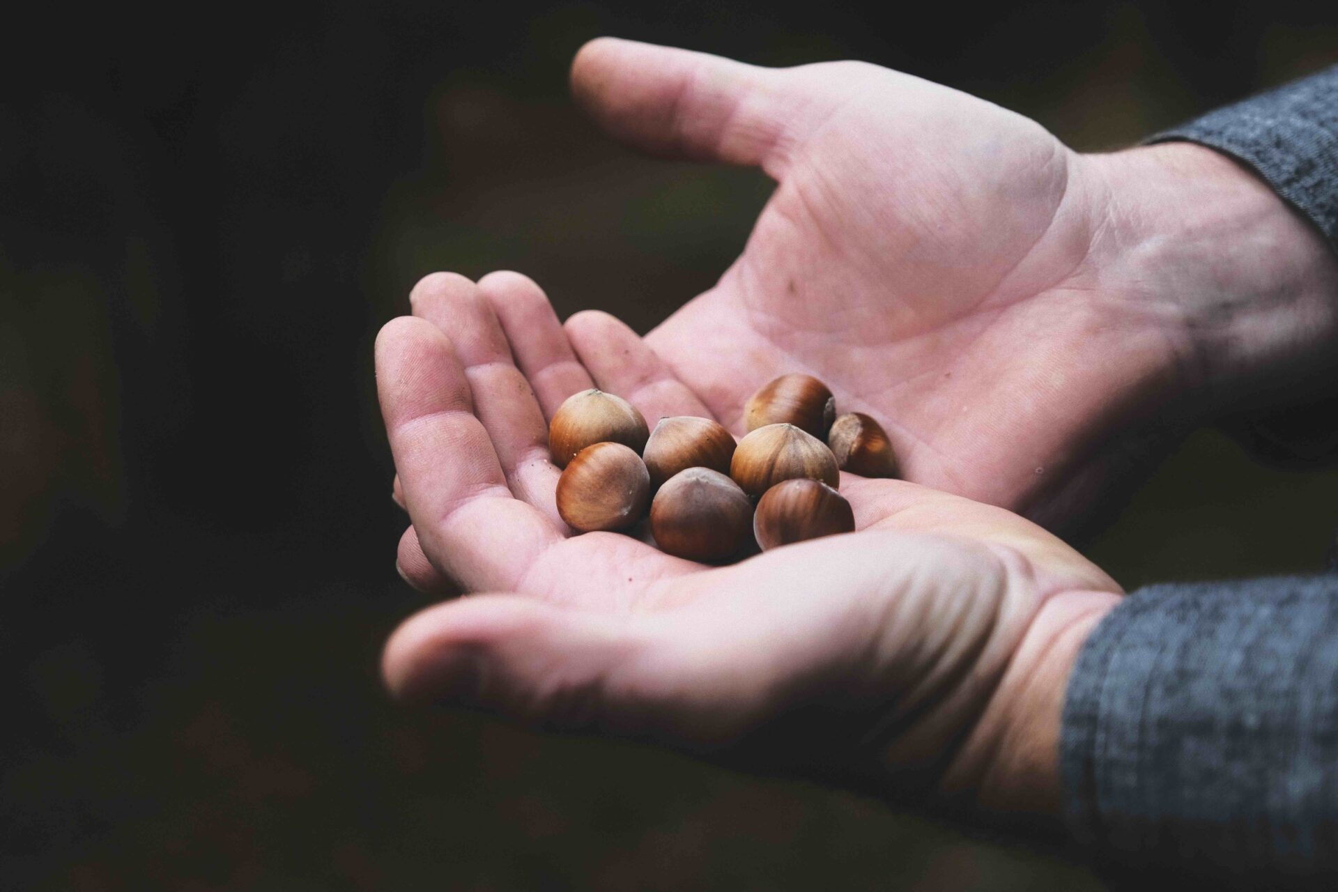 Fruits