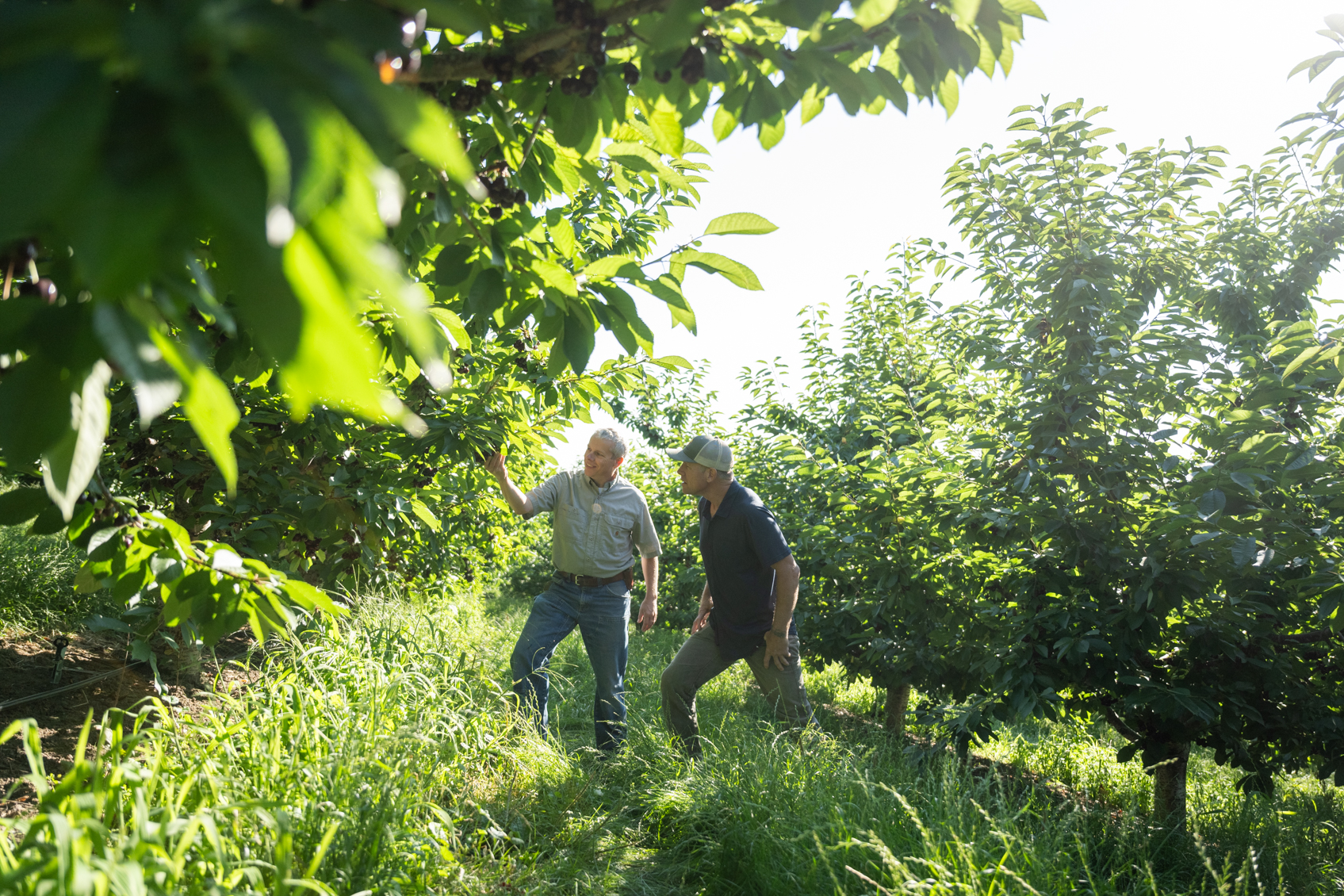 Contact Us - Advancing Eco Agriculture