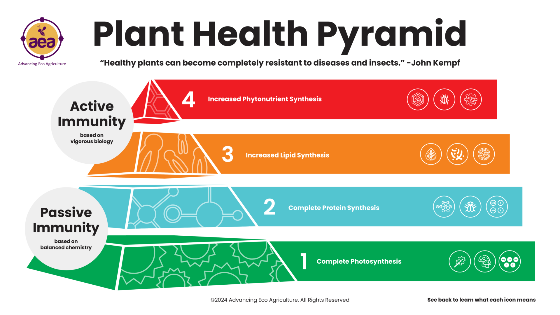 aea-planthealthpyramid-old-design-digital-24-01-f3-1-1