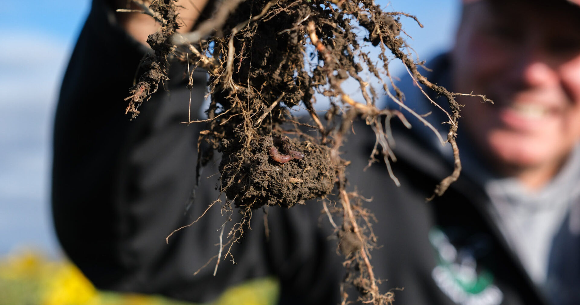roots-held-up-with-blurry-person-behind