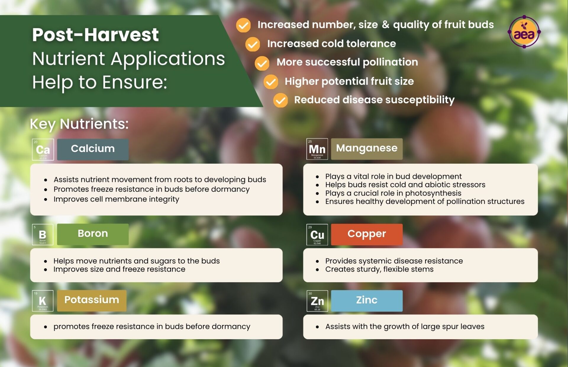 post-harvest-nutrients-infographic-half-page post-harvest-nutrients-infographic-half-page