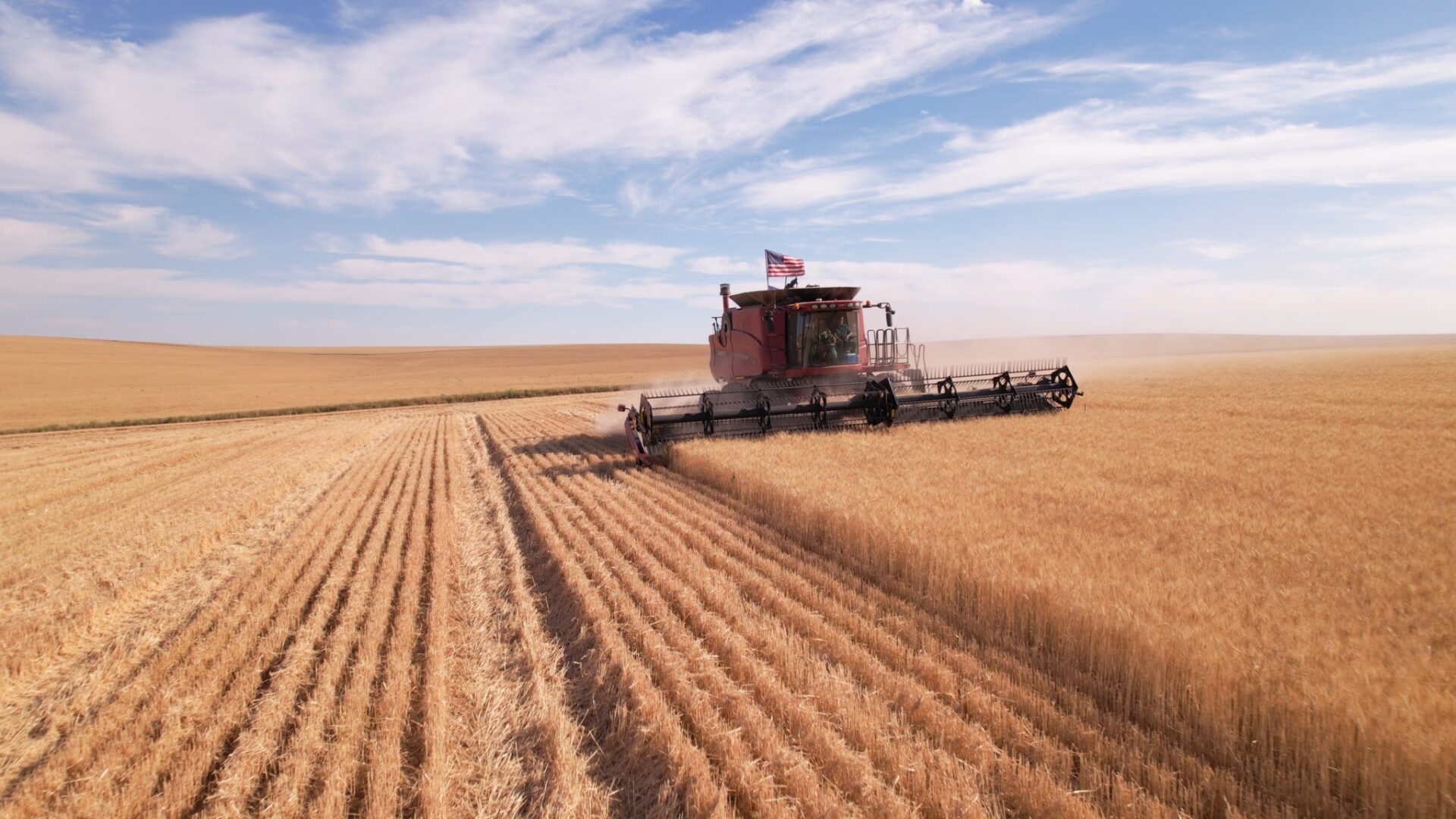 Controlling Armyworms in Barley