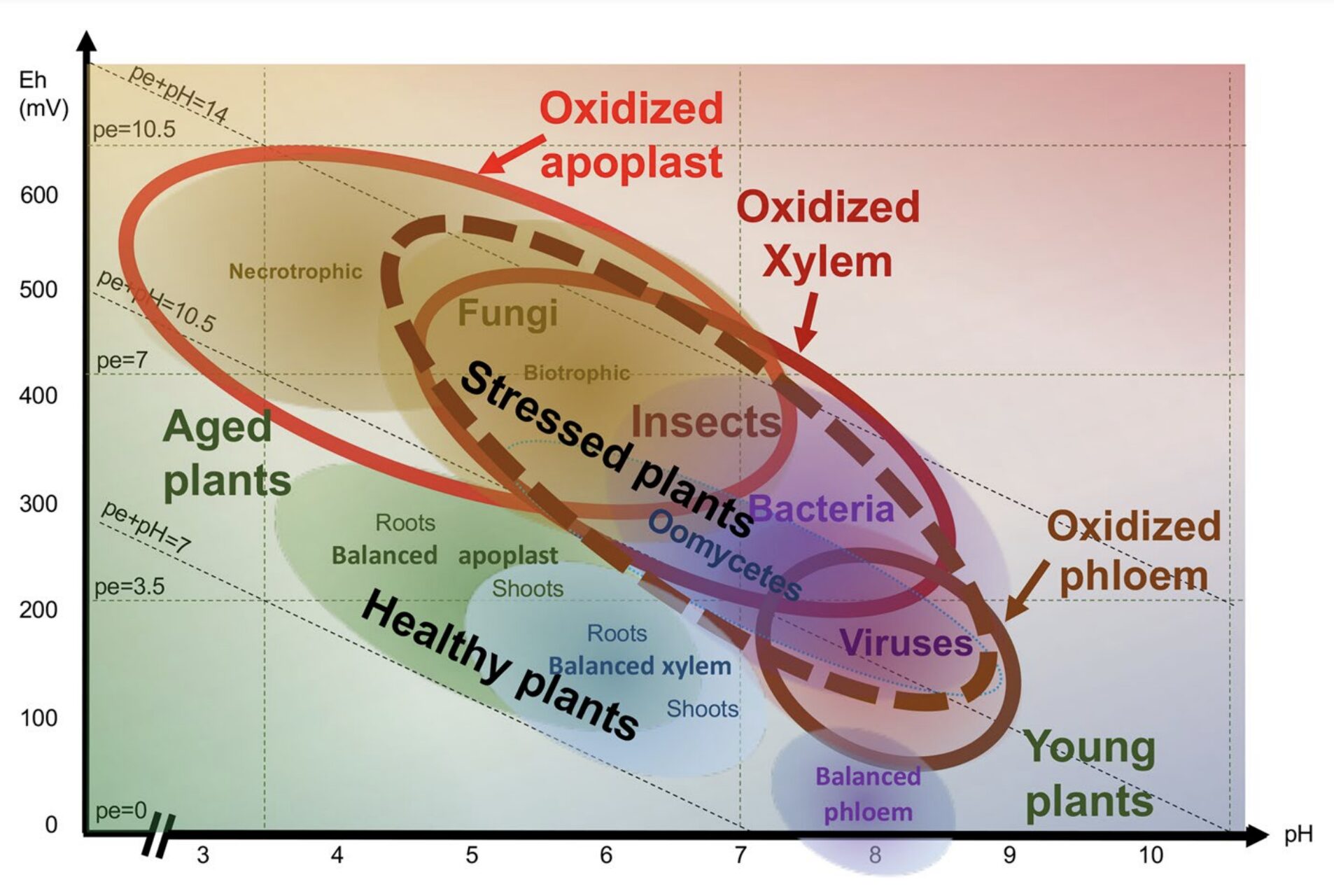 redox-chart redox-chart
